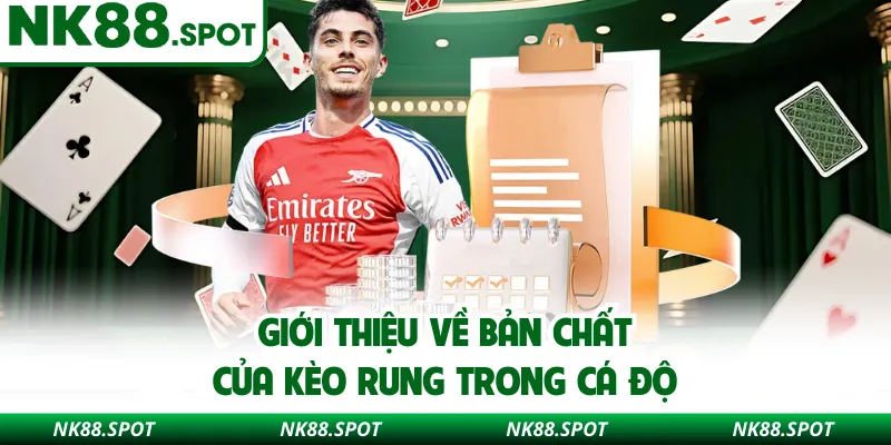 Giới thiệu về bản chất của kèo rung trong cá độ